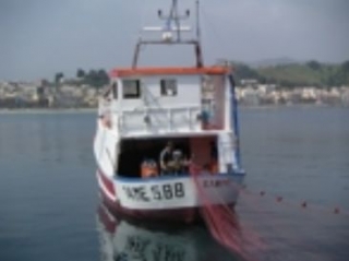  Trips de pesca Turismo 